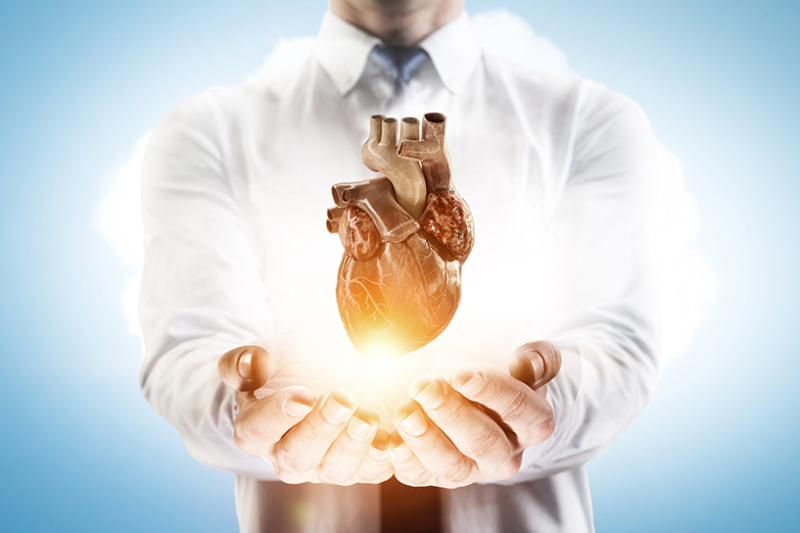 Kalp ve Damar Cerrahisi (KVC)