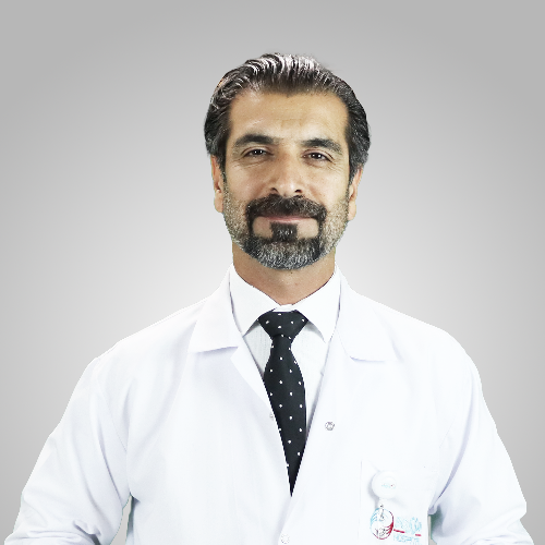 Assoc. Dr. Ahmet DİRİER