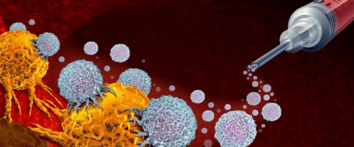 What is Immunotherapy? 