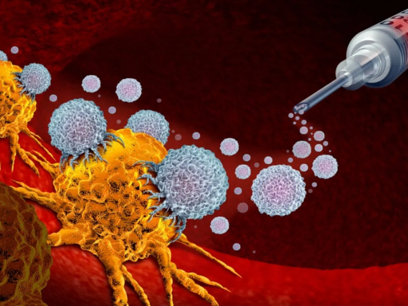 What is Immunotherapy? 